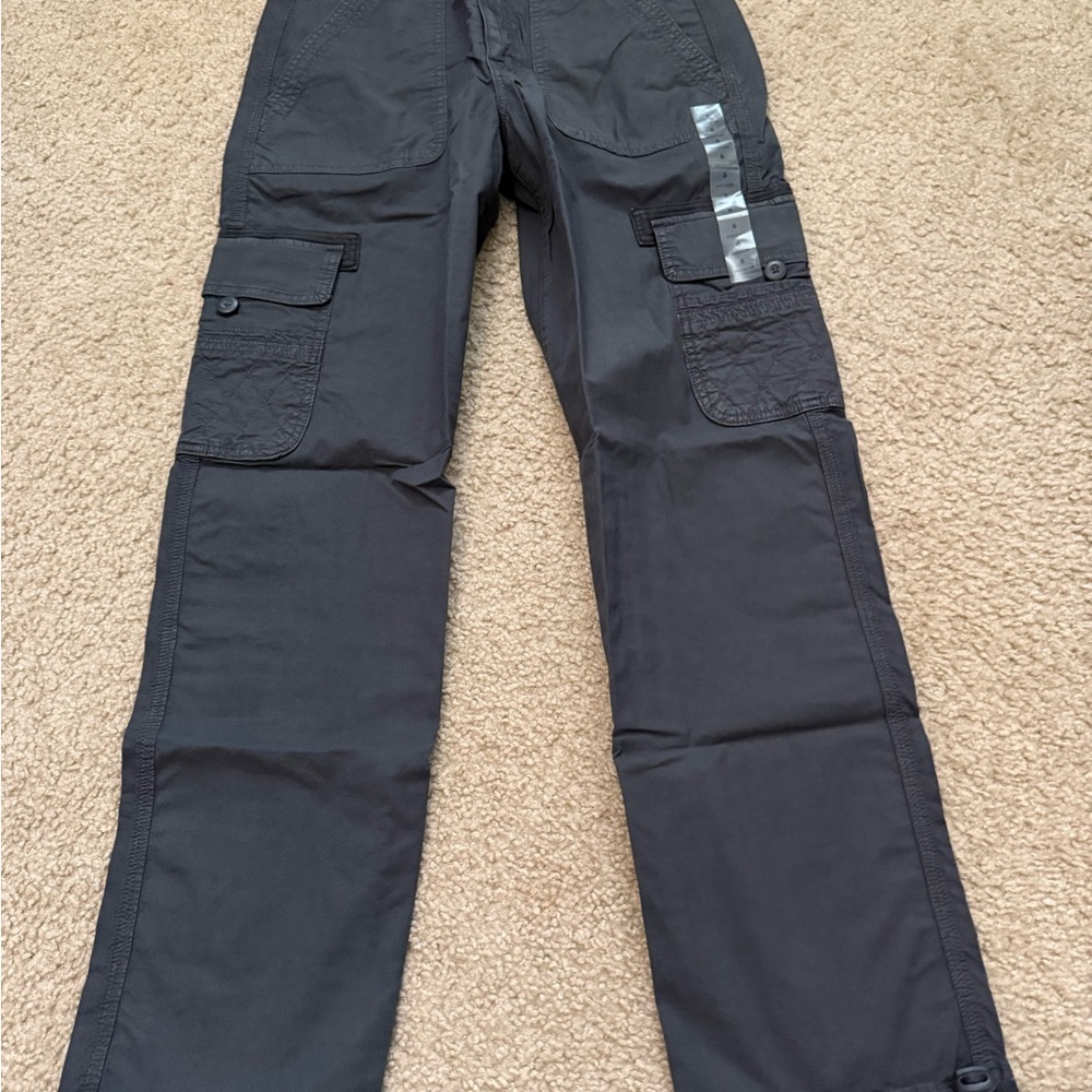 American Eagle Outfitters Dark Gray Cargo Pants